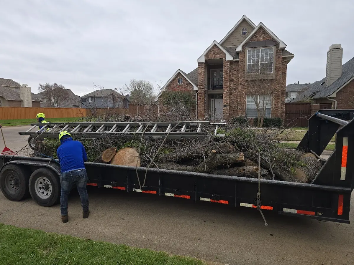 Expert Lot Clearing with proper safety equipment in Powder Springs